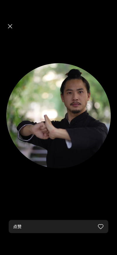 武当小飞龙 (Wudang Xiao Feilong)