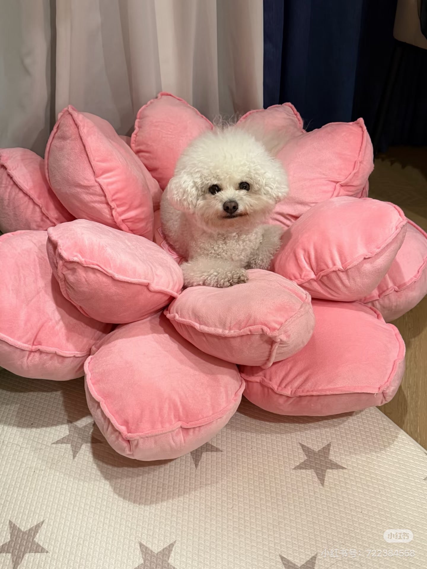 Pink lotus flower cushion pet bed with dog